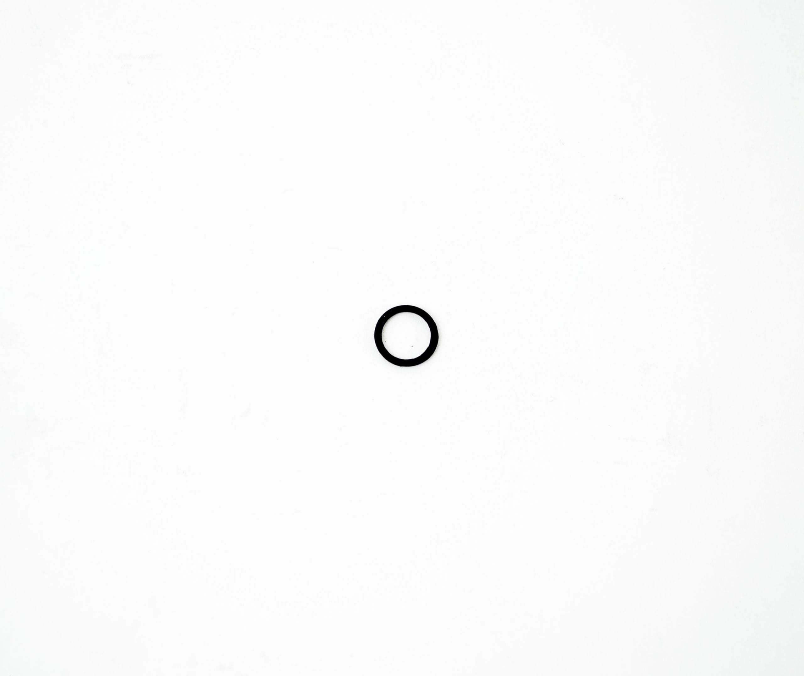 OEM O-Ring: Light Guide Cover Glass Unit - 100, 130, 140, 160, 180, 260 Series