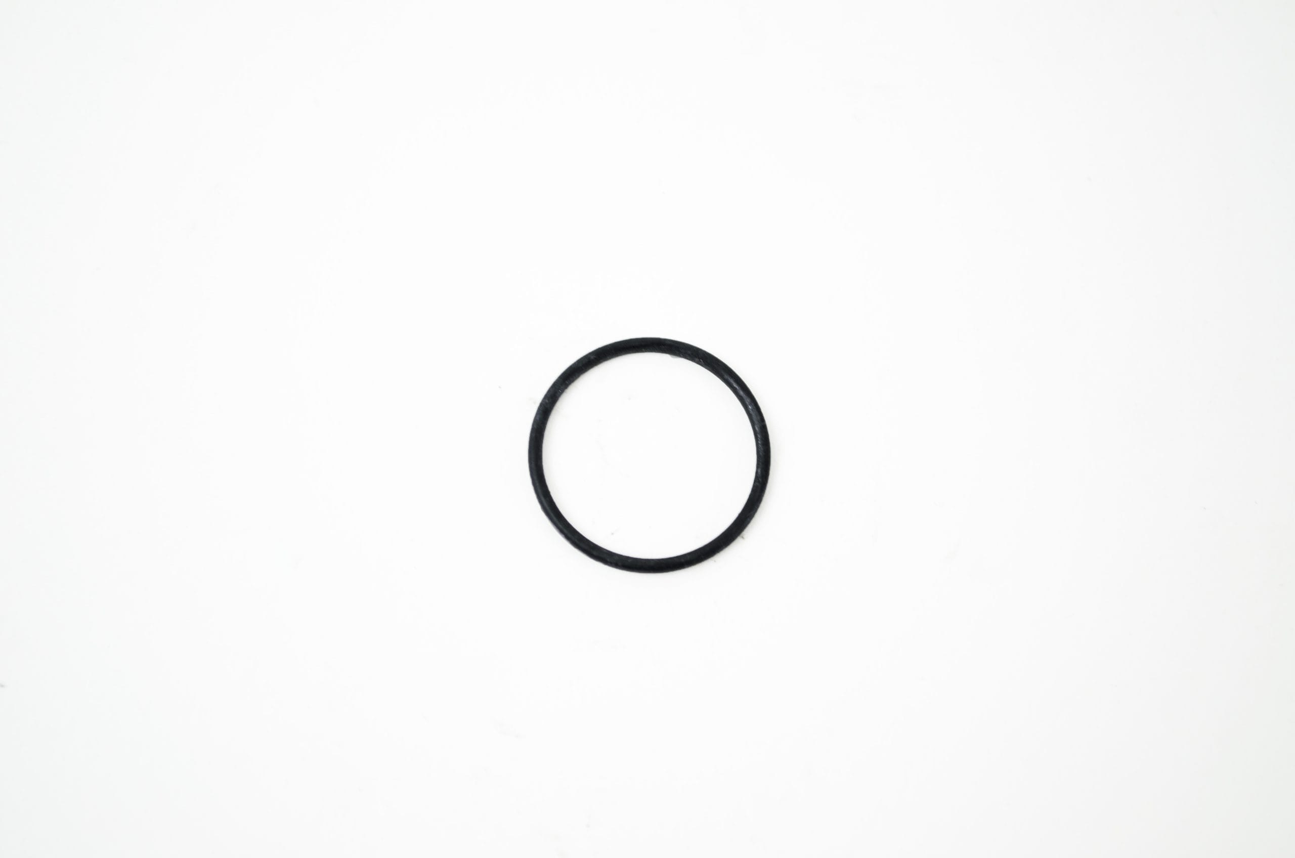 OEM O-Ring: Insertion Tube Boot - 10 Series