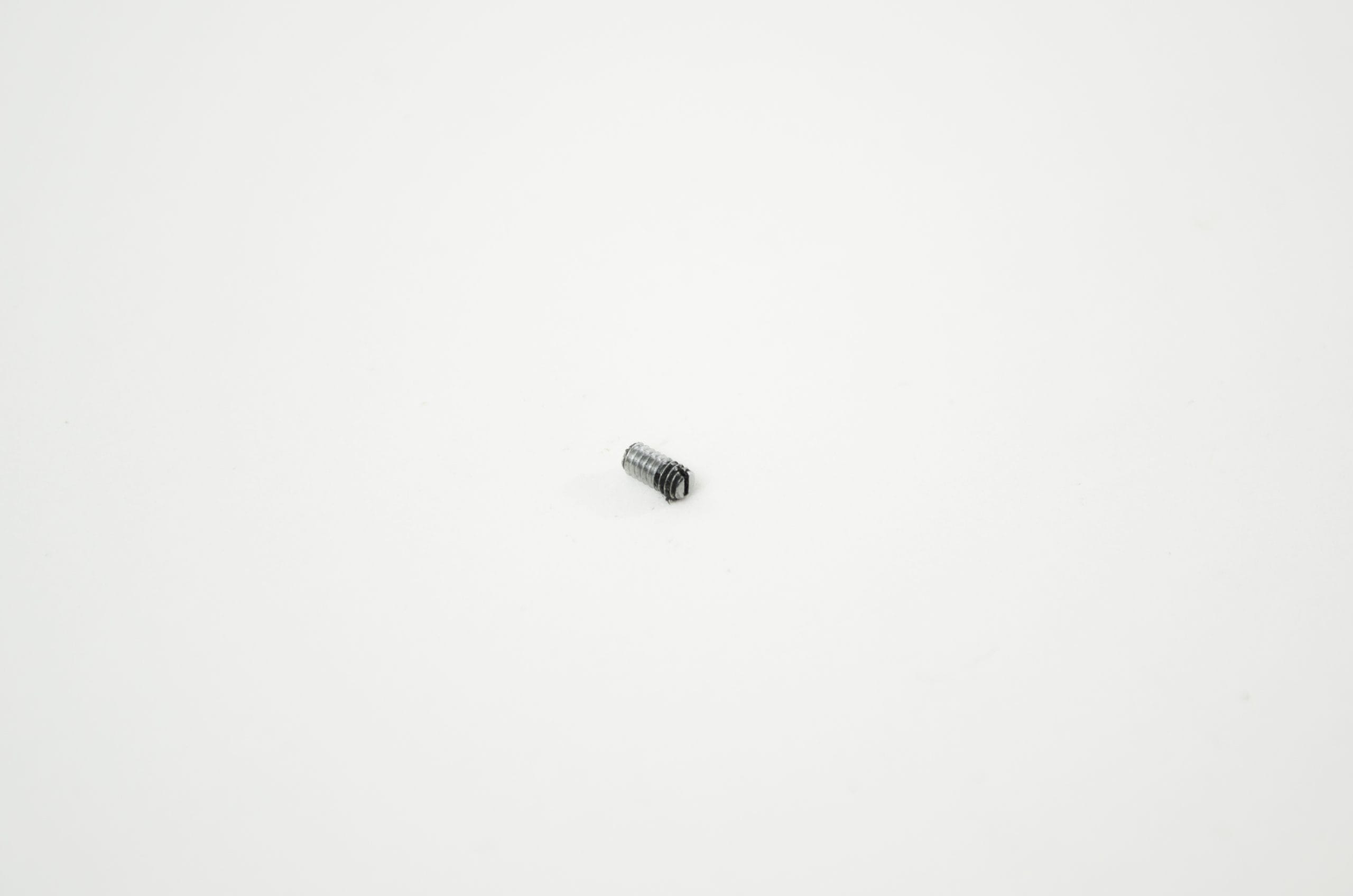 OEM Screw: Biopsy Port - CF-2T160L, CF-2T160I