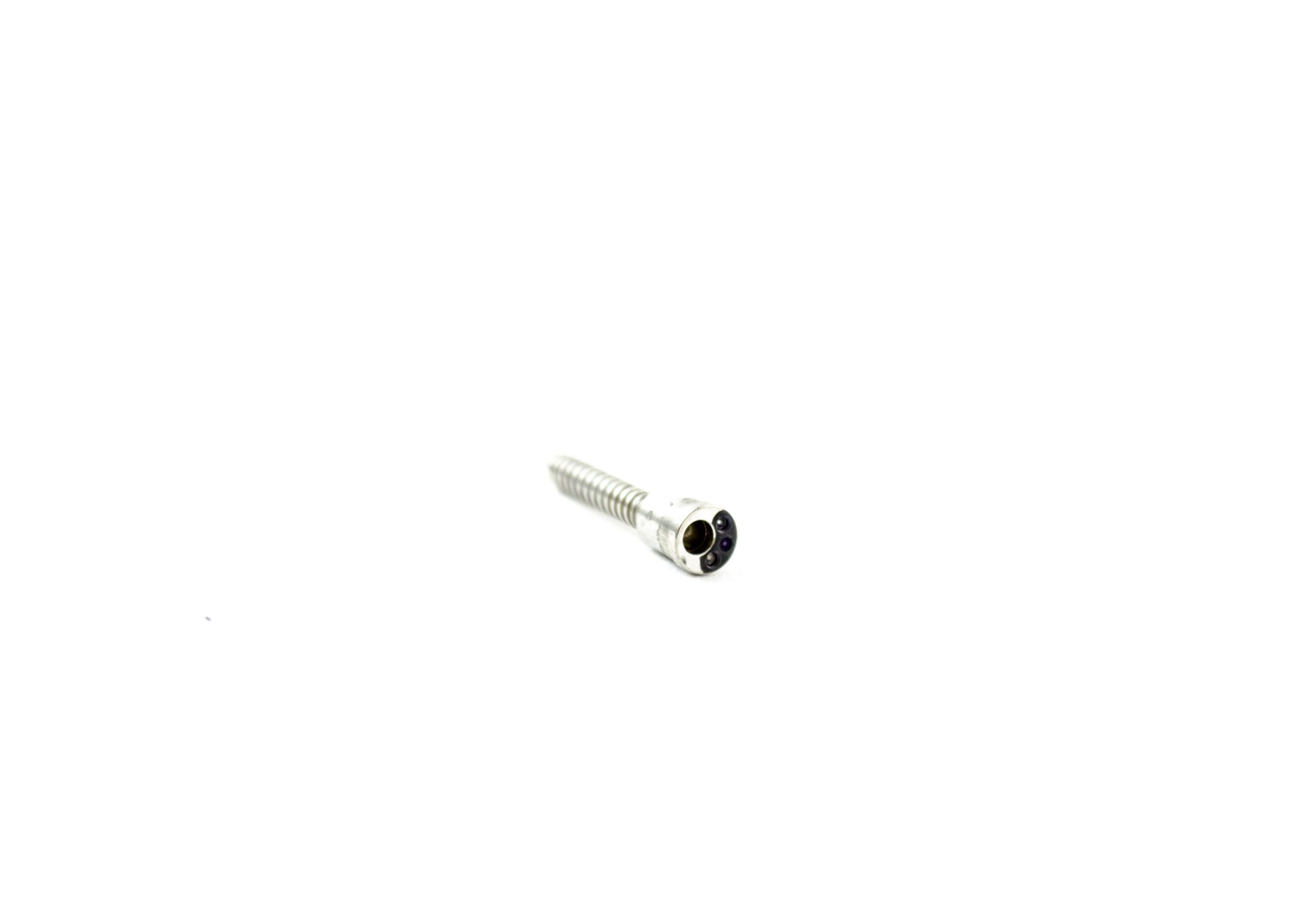 OEM Distal Tip (No Lenses) - BF-P30