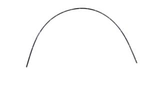 (OEM Compatible) Insertion Tube - GIF-XP160