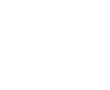 ISO white logo