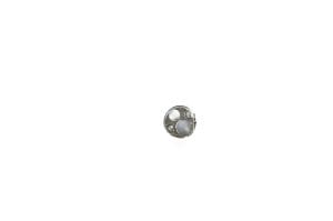 OEM Distal Tip (No Lenses) - BF-P160